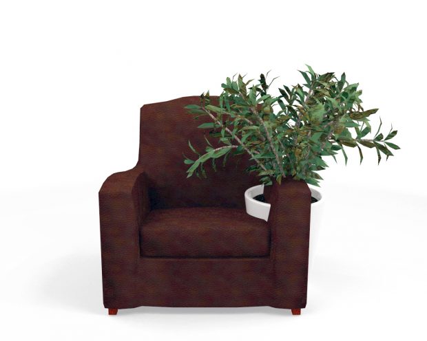 Lire la suite à propos de l’article Fauteuil-Plante en pot